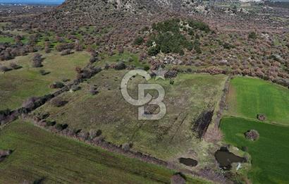 Çanakkale Ezine Yavaşlar Köyü Satılık 17.900 m² Tarla