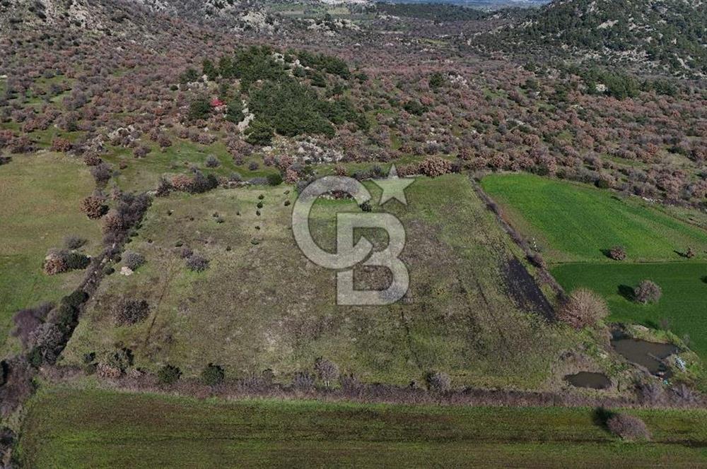 Çanakkale Ezine Yavaşlar Köyü Satılık 17.900 m² Tarla