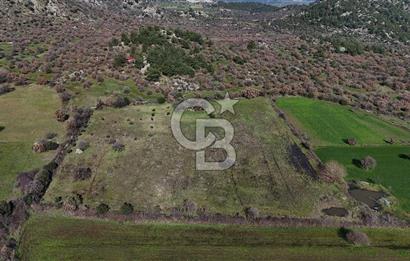 Çanakkale Ezine Yavaşlar Köyü Satılık 17.900 m² Tarla