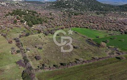 Çanakkale Ezine Yavaşlar Köyü Satılık 17.900 m² Tarla