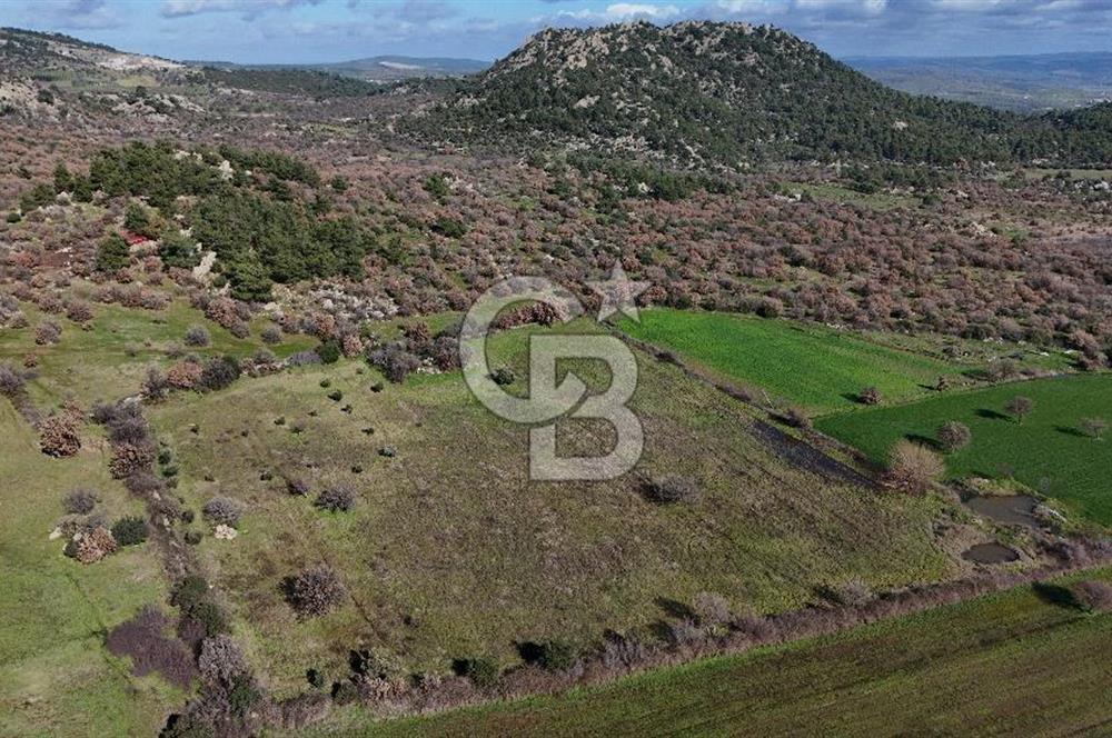 Çanakkale Ezine Yavaşlar Köyü Satılık 17.900 m² Tarla