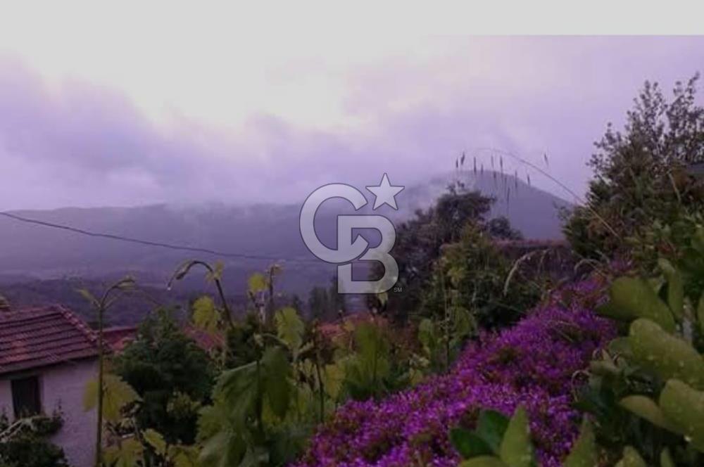 Seferihisar Orhanlı Satılık Müstakil Ev Ve Arsası