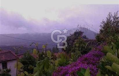 Seferihisar Orhanlı Satılık Müstakil Ev Ve Arsası