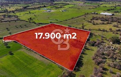 Çanakkale Ezine Yavaşlar Köyü Satılık 17.900 m² Tarla