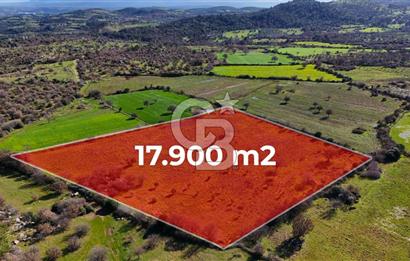 Çanakkale Ezine Yavaşlar Köyü Satılık 17.900 m² Tarla