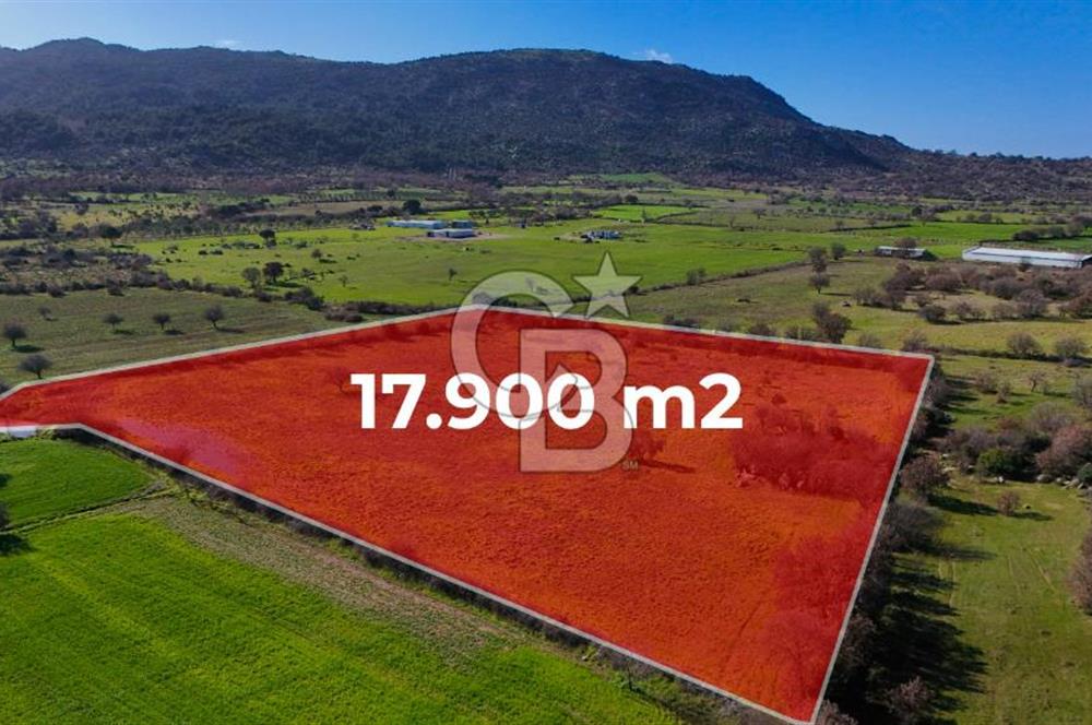 Çanakkale Ezine Yavaşlar Köyü Satılık 17.900 m² Tarla