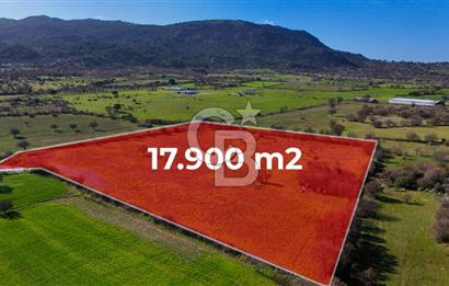 Çanakkale Ezine Yavaşlar Köyü Satılık 17.900 m² Tarla