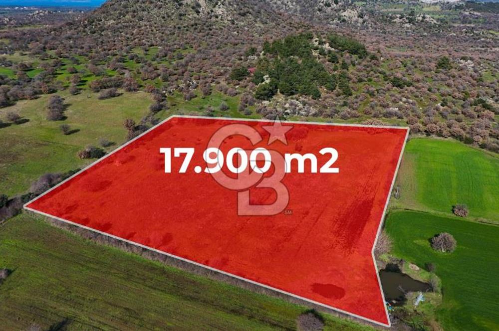 Çanakkale Ezine Yavaşlar Köyü Satılık 17.900 m² Tarla