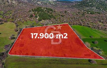 Çanakkale Ezine Yavaşlar Köyü Satılık 17.900 m² Tarla