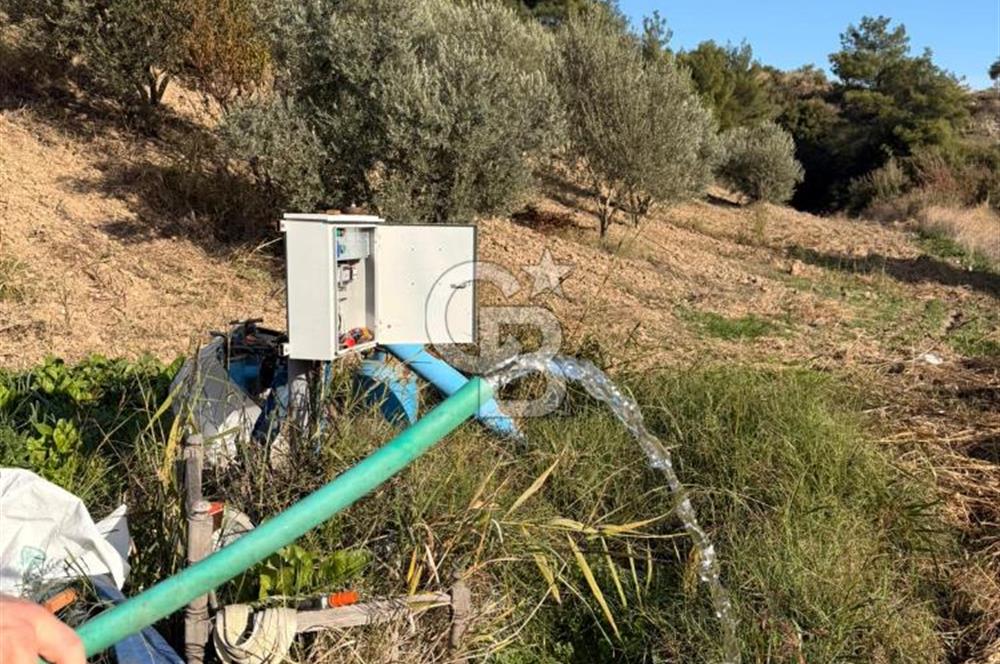 EVONA'DAN SANCAKLIÇEŞMEBAŞINDA KAÇIRILMAYACAK SATILIK ARSA