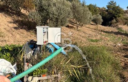 EVONA'DAN SANCAKLIÇEŞMEBAŞINDA KAÇIRILMAYACAK SATILIK ARSA