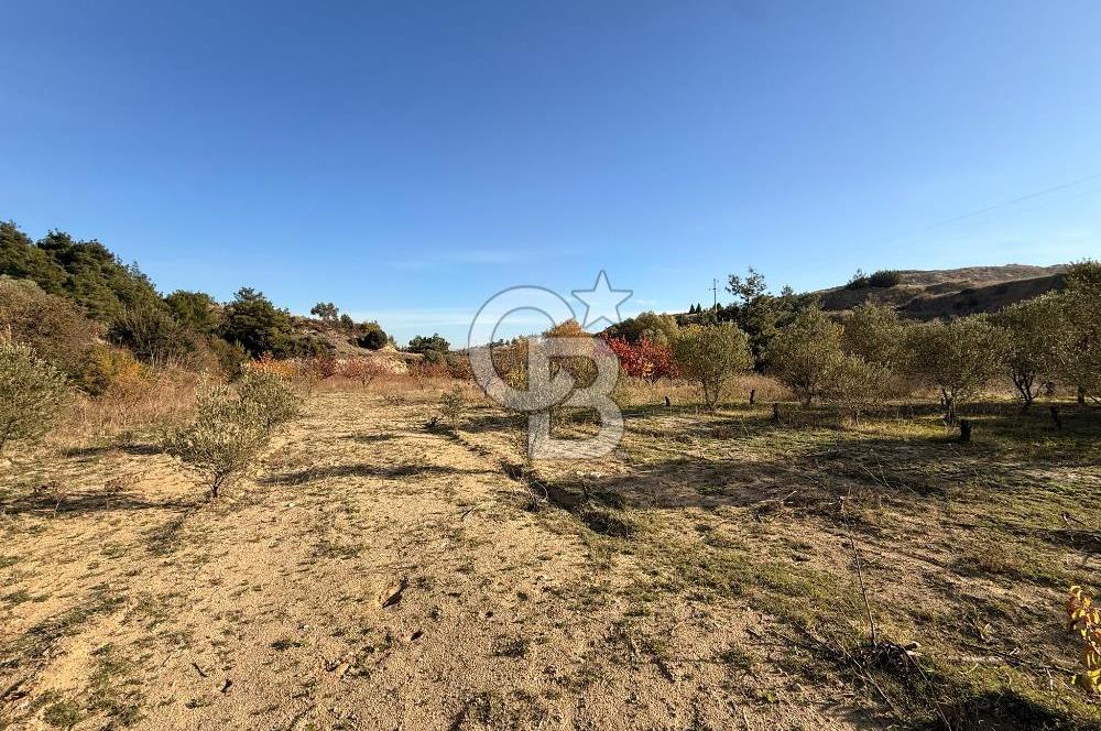 EVONA'DAN SANCAKLIÇEŞMEBAŞINDA KAÇIRILMAYACAK SATILIK ARSA