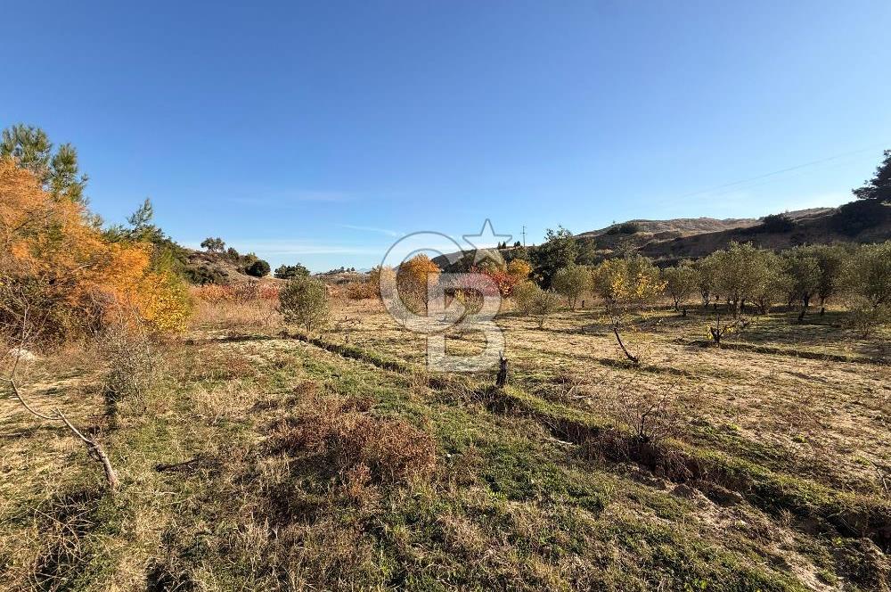 EVONA'DAN SANCAKLIÇEŞMEBAŞINDA KAÇIRILMAYACAK SATILIK ARSA