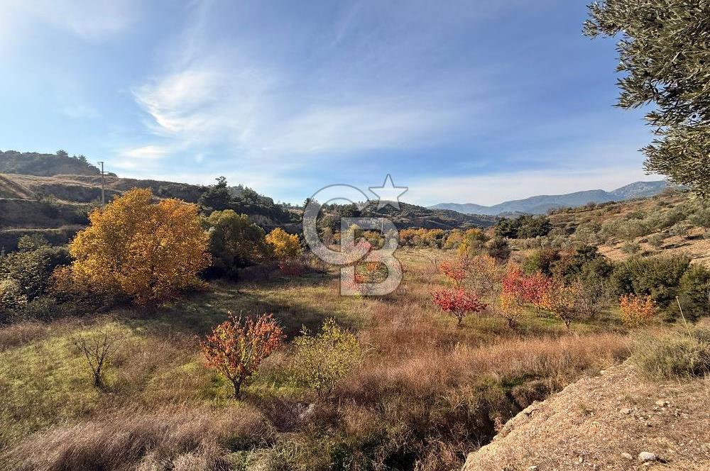 EVONA'DAN SANCAKLIÇEŞMEBAŞINDA KAÇIRILMAYACAK SATILIK ARSA