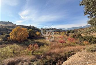 EVONA'DAN SANCAKLIÇEŞMEBAŞINDA KAÇIRILMAYACAK SATILIK ARSA - 6 - 334152