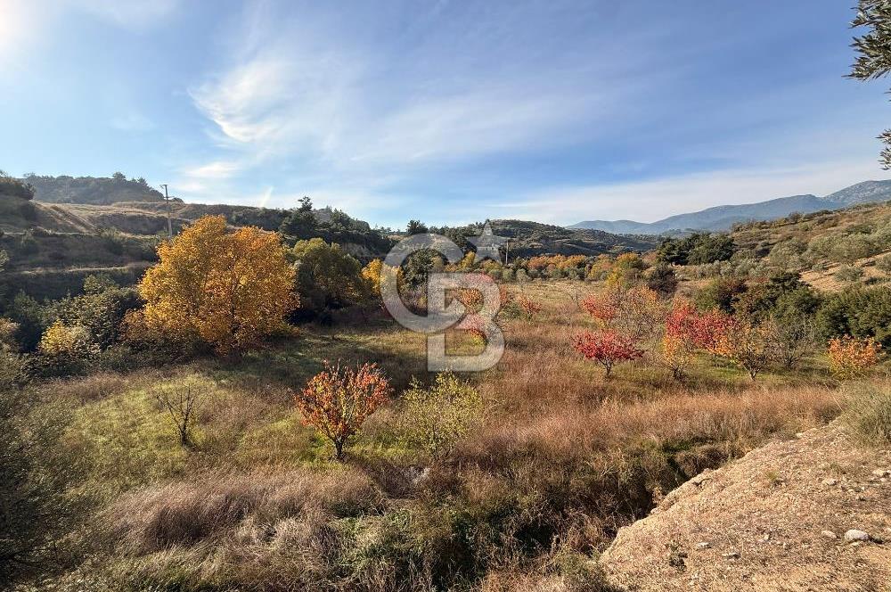 EVONA'DAN SANCAKLIÇEŞMEBAŞINDA KAÇIRILMAYACAK SATILIK ARSA