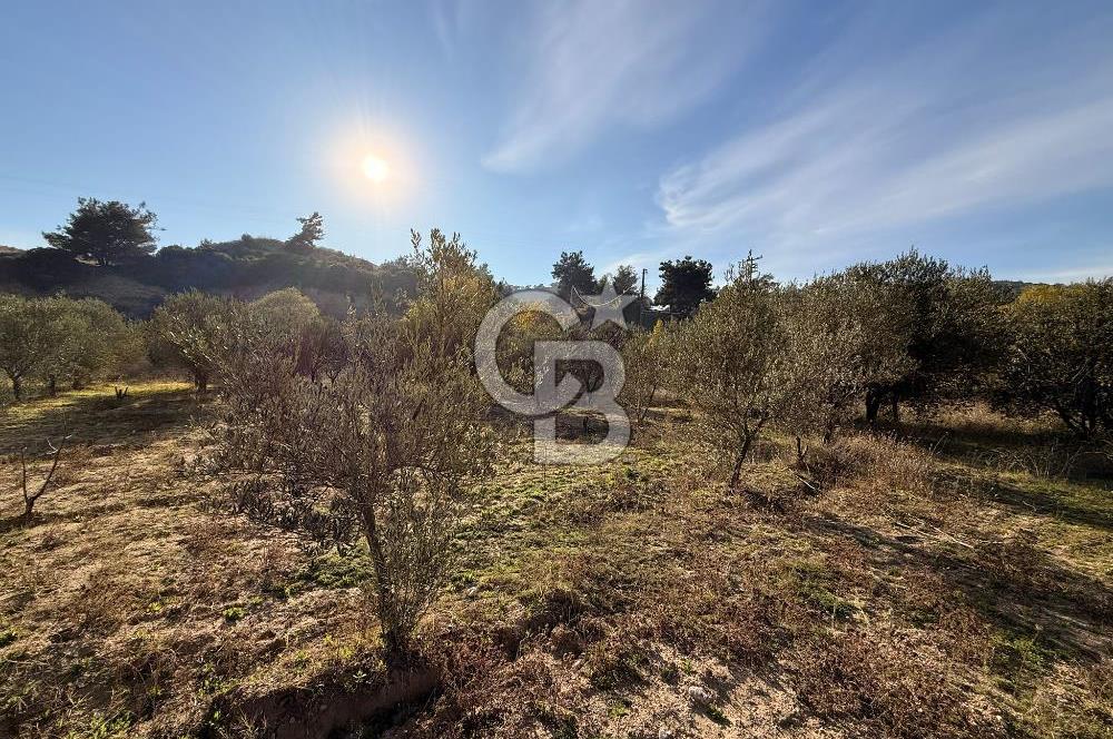 EVONA'DAN SANCAKLIÇEŞMEBAŞINDA KAÇIRILMAYACAK SATILIK ARSA