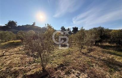 EVONA'DAN SANCAKLIÇEŞMEBAŞINDA KAÇIRILMAYACAK SATILIK ARSA