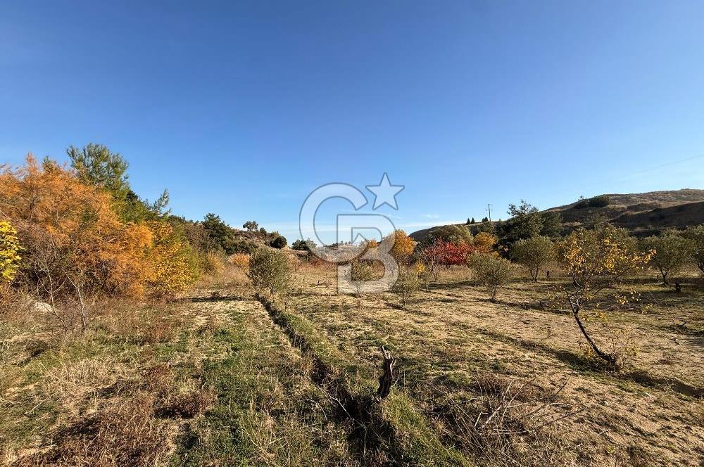 EVONA'DAN SANCAKLIÇEŞMEBAŞINDA KAÇIRILMAYACAK SATILIK ARSA