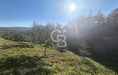 EVONA'DAN AKHİSAR ÇOBANHASAN'DA 4.712 M2 SATILIK TARLA