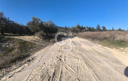 EVONA'DAN AKHİSAR ÇOBANHASAN'DA 4.712 M2 SATILIK TARLA