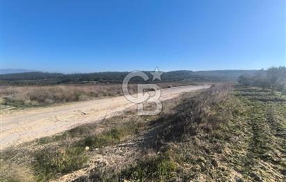 EVONA'DAN AKHİSAR ÇOBANHASAN'DA 4.712 M2 SATILIK TARLA