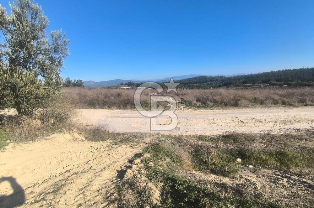 EVONA'DAN AKHİSAR ÇOBANHASAN'DA 4.712 M2 SATILIK TARLA