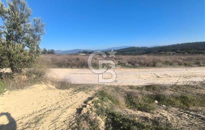 EVONA'DAN AKHİSAR ÇOBANHASAN'DA 4.712 M2 SATILIK TARLA