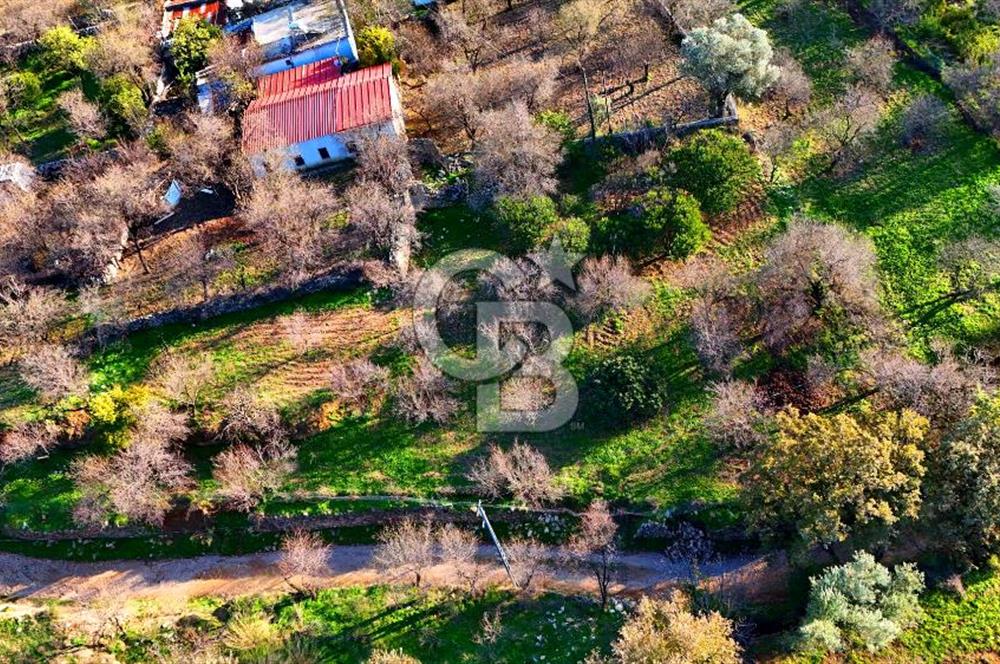 Datça Yazı ' da İmarlı 236 m² Arsa