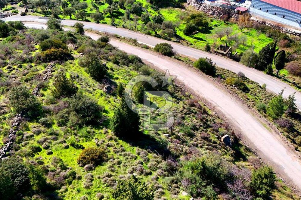 Datça Sındı Köyü'nde 5.159 m² Yol Cepheli ve Manzaralı Tarla 