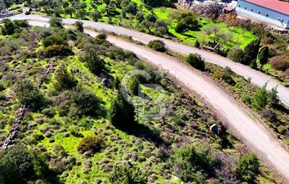 Datça Sındı Köyü'nde 5.159 m² Yol Cepheli ve Manzaralı Tarla 