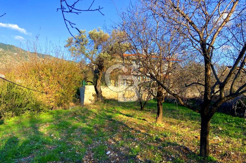 Datça Yazı ' da İmarlı 236 m² Arsa