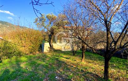 Datça Yazı ' da İmarlı 236 m² Arsa