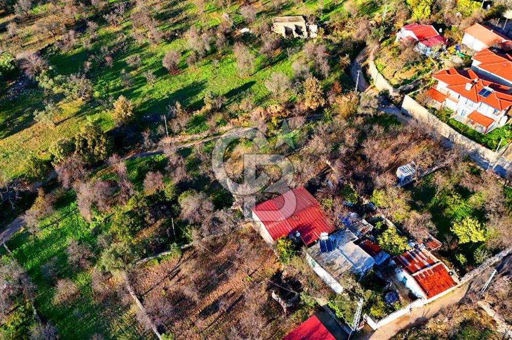 Datça Yazı ' da İmarlı 236 m² Arsa