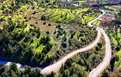 Datça Sındı Köyü'nde 5.159 m² Yol Cepheli ve Manzaralı Tarla 
