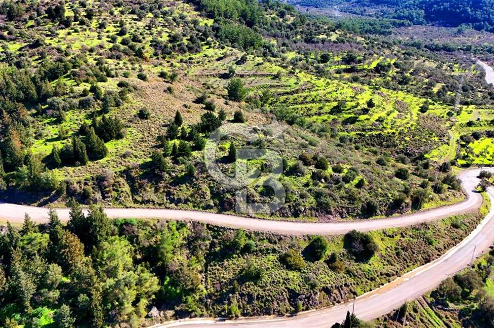 Datça Sındı Köyü'nde 5.159 m² Yol Cepheli ve Manzaralı Tarla 
