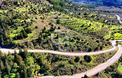 Datça Sındı Köyü'nde 5.159 m² Yol Cepheli ve Manzaralı Tarla 