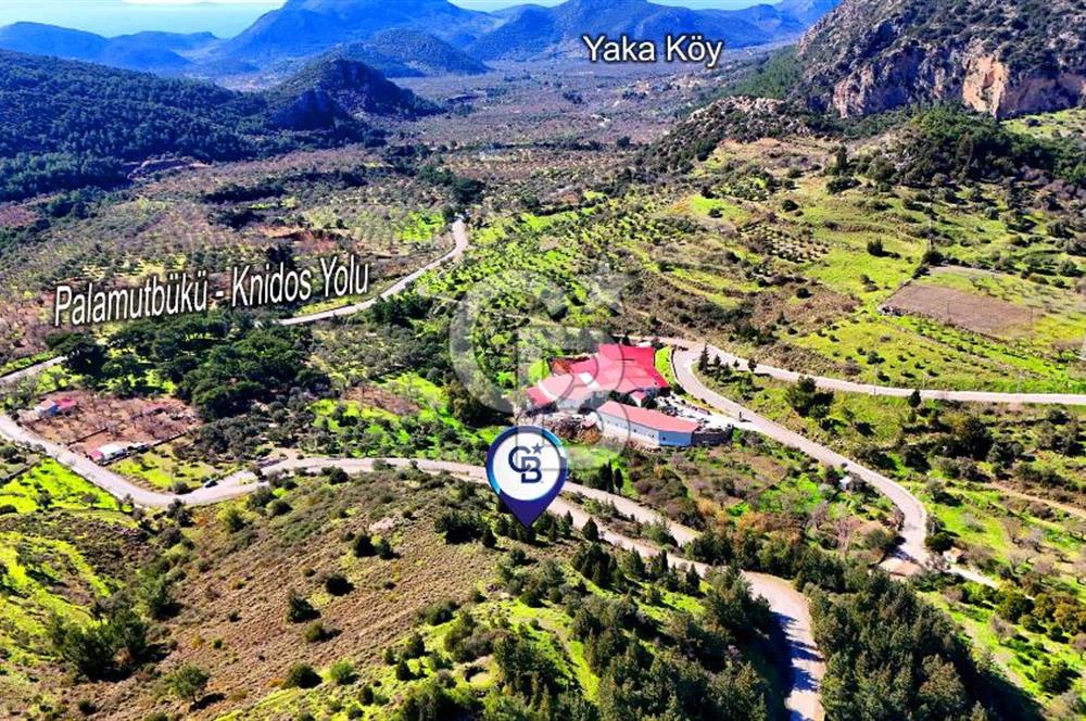 Datça Sındı Köyü'nde 5.159 m² Yol Cepheli ve Manzaralı Tarla 
