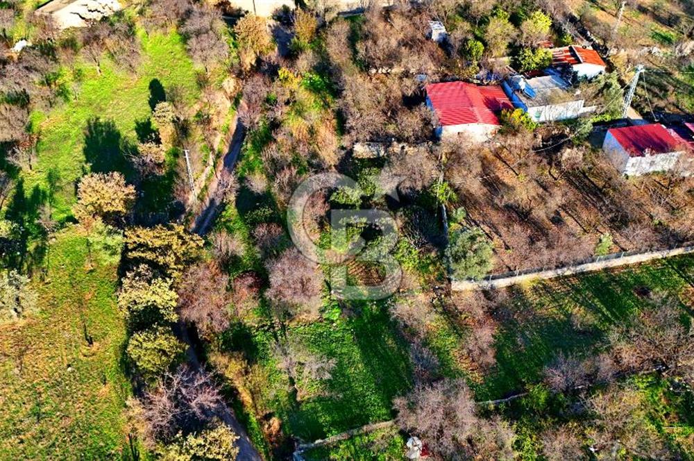 Datça Yazı ' da İmarlı 236 m² Arsa