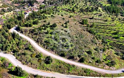 Datça Sındı Köyü'nde 5.159 m² Yol Cepheli ve Manzaralı Tarla 
