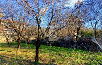 Datça Yazı ' da İmarlı 236 m² Arsa