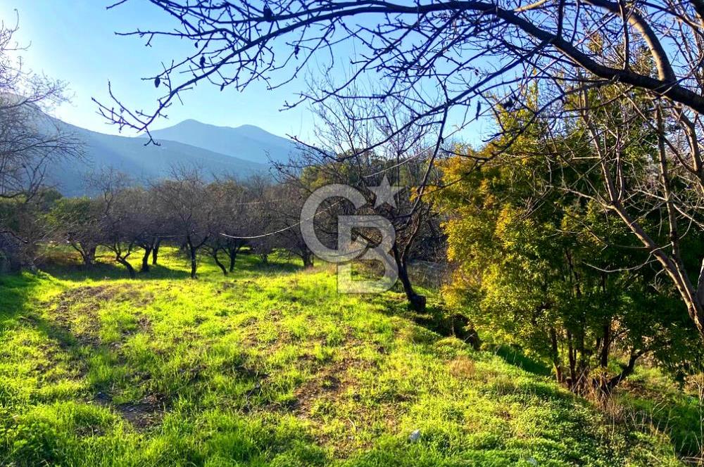 Datça Yazı ' da İmarlı 236 m² Arsa