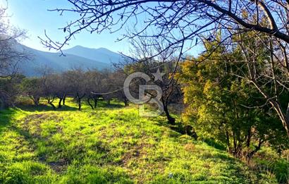 Datça Yazı ' da İmarlı 236 m² Arsa