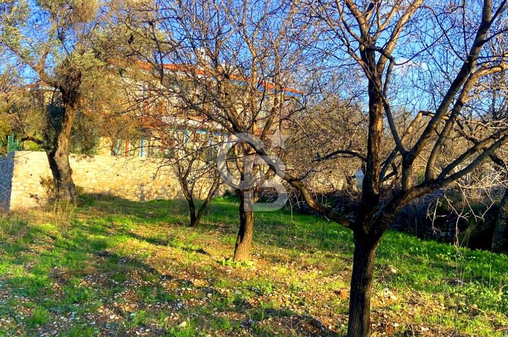 Datça Yazı ' da İmarlı 236 m² Arsa