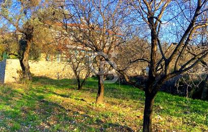 Datça Yazı ' da İmarlı 236 m² Arsa