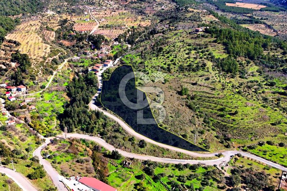 Datça Sındı Köyü'nde 5.159 m² Yol Cepheli ve Manzaralı Tarla 