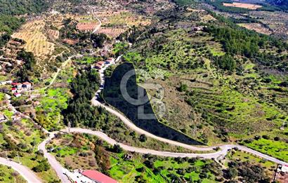 Datça Sındı Köyü'nde 5.159 m² Yol Cepheli ve Manzaralı Tarla 
