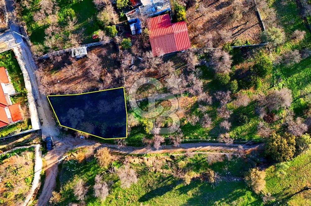 Datça Yazı ' da İmarlı 236 m² Arsa
