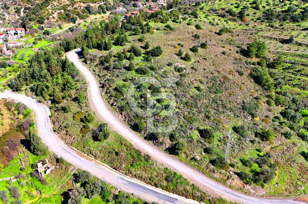 Datça Sındı Köyü'nde 5.159 m² Yol Cepheli ve Manzaralı Tarla 