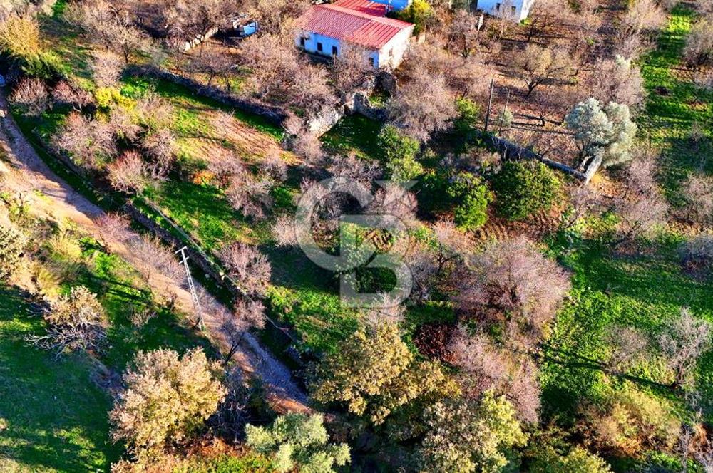 Datça Yazı ' da İmarlı 236 m² Arsa